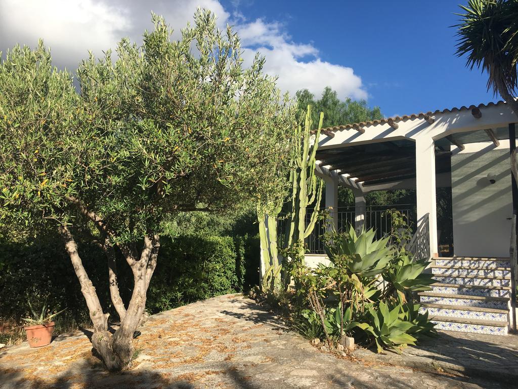 Villa Nadia Con Splendida Vista Mare Castellammare del Golfo Exteriör bild
